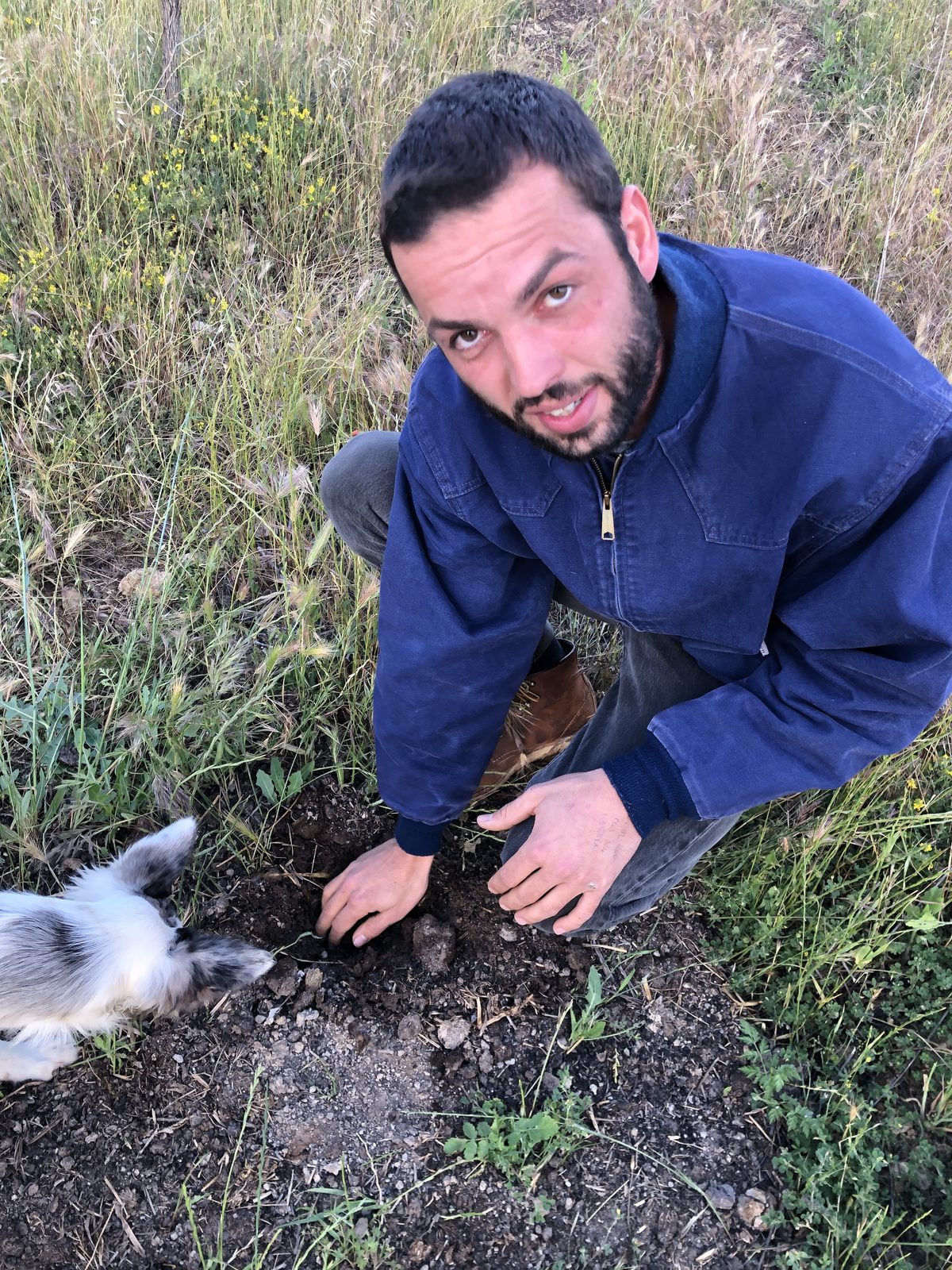 Charles Soulier dans les vignes du domaine
