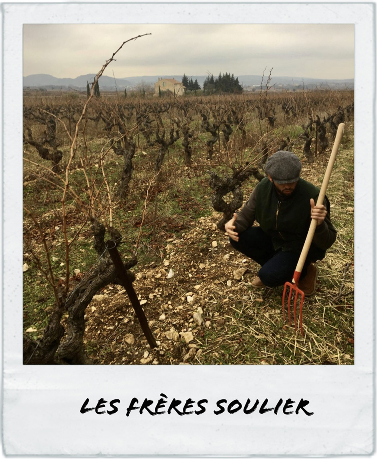 Charles soulier du domaine les Frères Soulier dans ses vignes