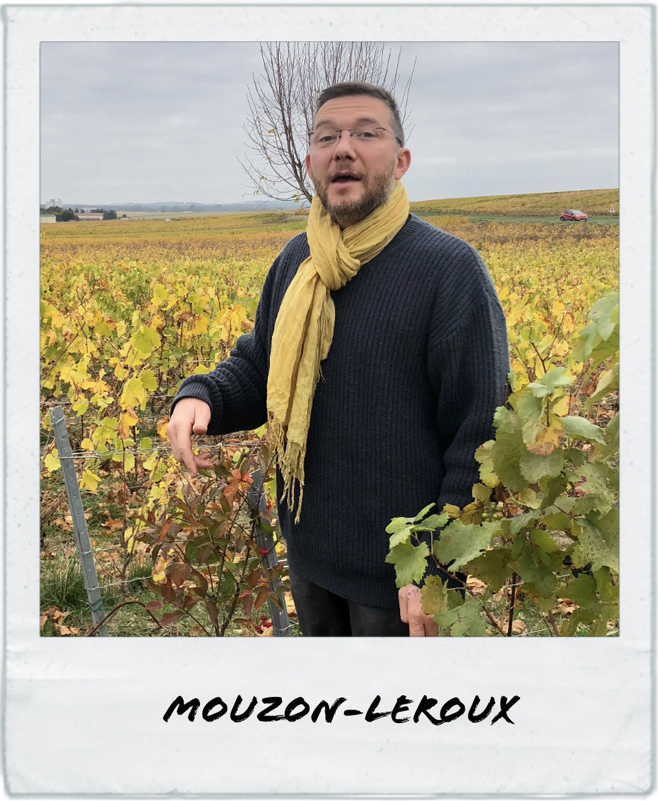 Le vigneron du Domaine Mouzon Leroux, partenaire de Maison Wino