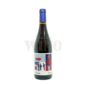 Bouteille 33 Tours rouge 2025 — Domaine de Mathalis — Rhône Rouge