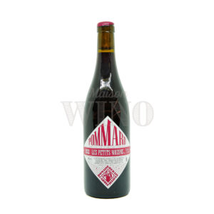 Bouteille Les Petits Noizons rouge 2022 — Domaine Derain — Bourgogne Rouge
