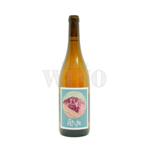 Bouteille La Pente blanc 2024 — Domaine des Côtes Rousses — Savoie Blanc