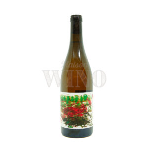 Bouteille Quintette blanc 2022 — Inebriati — Languedoc - Roussillon Blanc