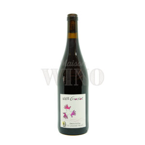 Bouteille 100% Groslot rouge 2023 — Les Grandes vignes — Loire Rouge