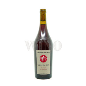 Bouteille Poulsard En Boutasse rouge 2023 — Les Pieds sur Terre - Morel — Jura Rouge