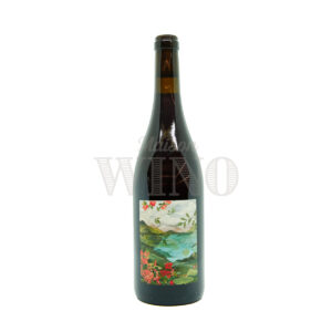 Bouteille Pagaille rouge 2023 — Lestignac — Sud-Ouest Rouge