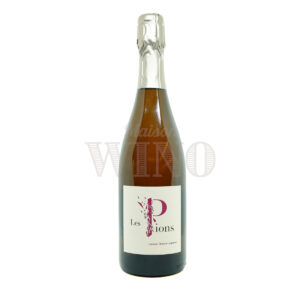 Bouteille Les Pions pétillant 2023 — Ludovic Chanson — Loire Bulles
