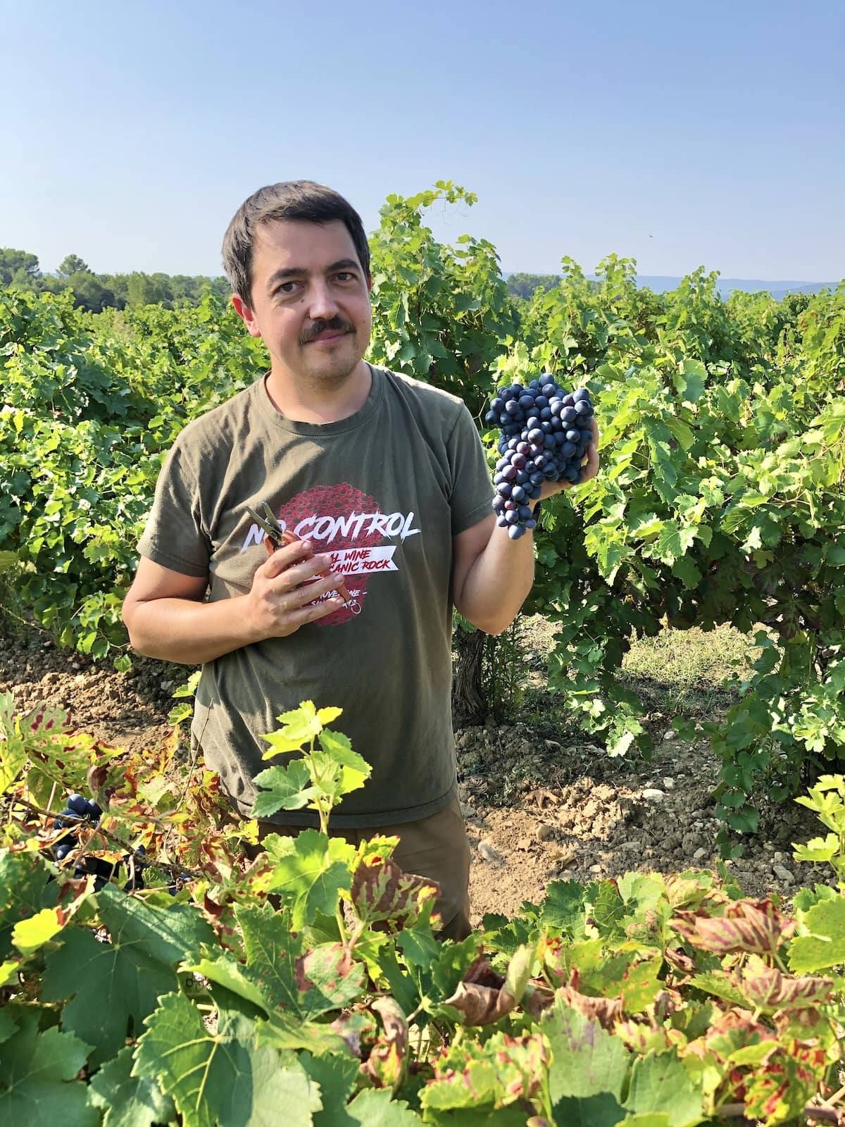 Nicolas Demarty pendant les vendanges de la cuvée 2 et Deux