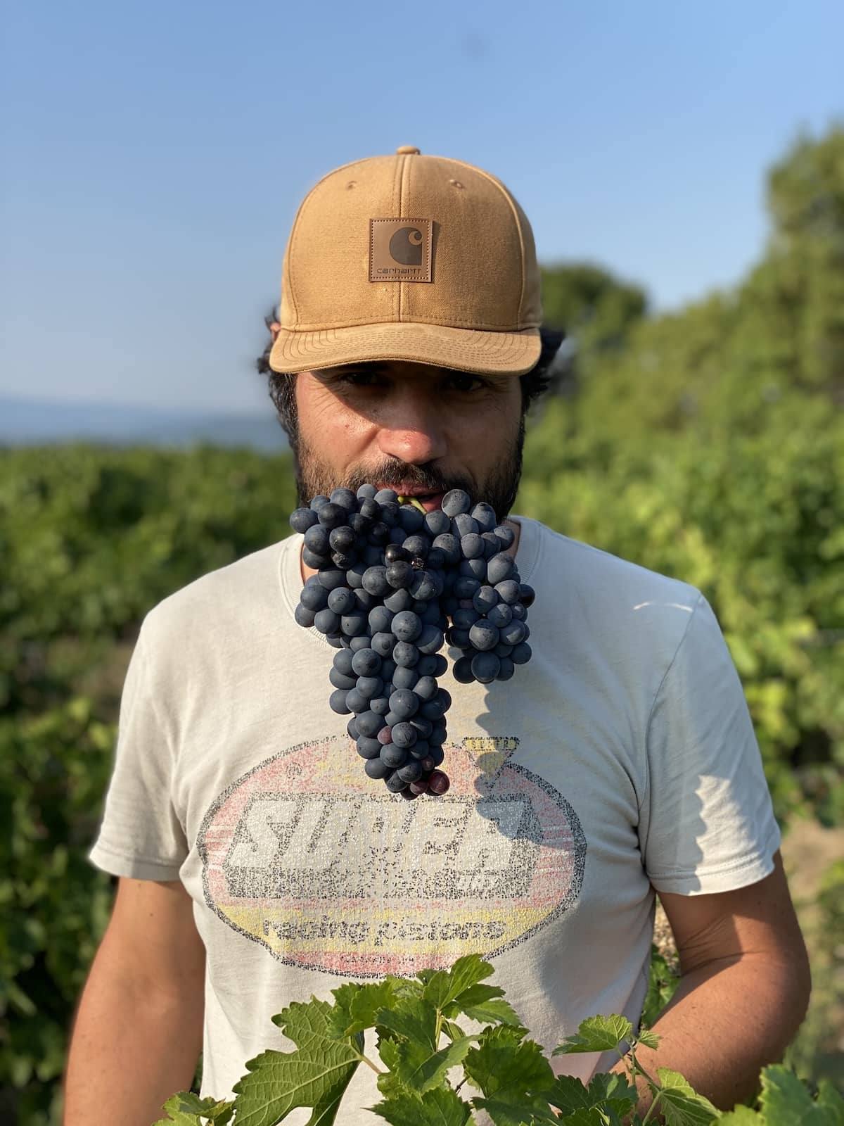 Portrait avec une grappe pendant les vendanges de la cuvée 2 et Deux