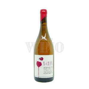 Bouteille Rocalhàs blanc 2021 — Sybil Baldassarre — Languedoc - Roussillon Blanc