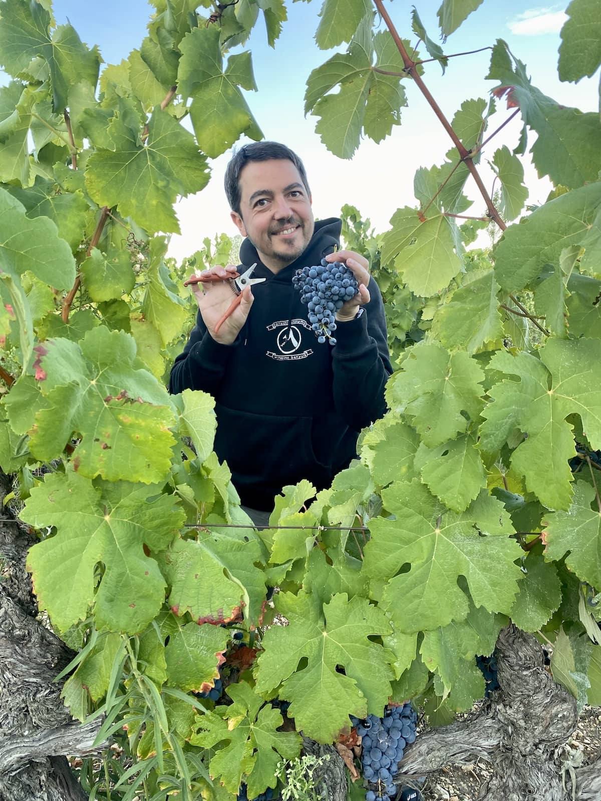Un verre partagé dans les vignes pendant les vendanges