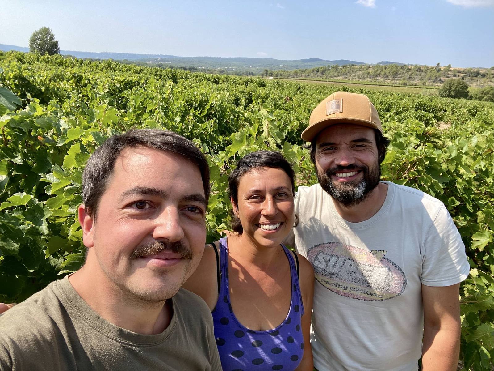 Vendanges de la cuvée 2 et Deux dans les vignes des Maoù