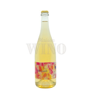 Bouteille Bulleversante pétillant 2023 — Vincent et Marie Tricot — blanc